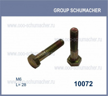 10072 Болт для крепления головок косы 6*28