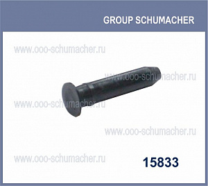 15833 Стопорный штифт sch