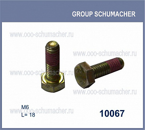 10067 Болт для соединительной пластины 6*18