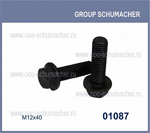 01087 Болт 12*40