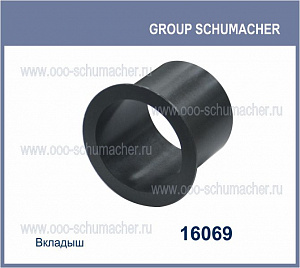 16069 Вкладыш sch